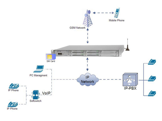 DTT VOIP-GSM 16M80S (GSM-VoIP шлюз на 16 каналов)